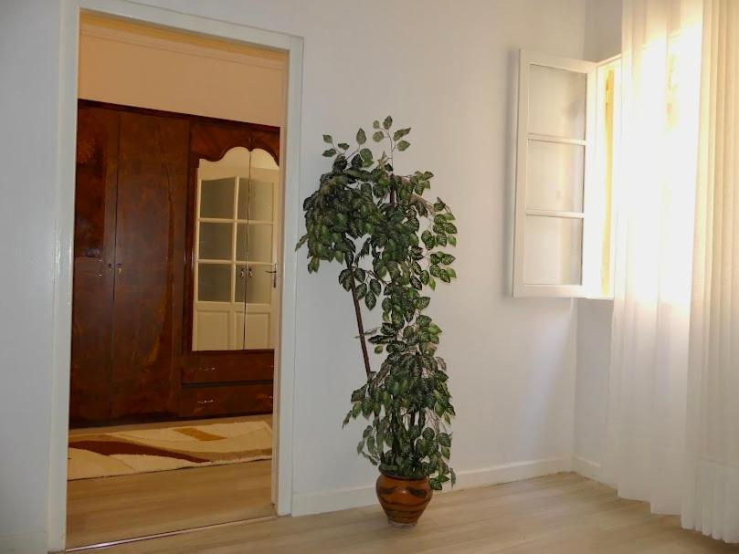 A Cozy Home Right In The Heart Of Tanger Ngoại thất bức ảnh